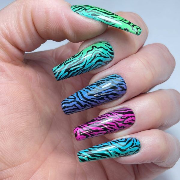 rainbow tiger foil