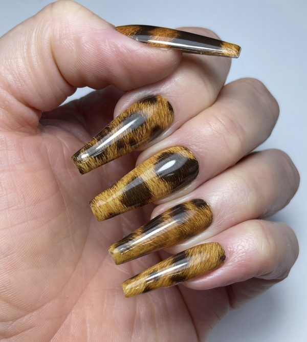 Roar Nail Foil - Image 2